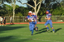 Enlarge photo 270