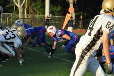 Enlarge photo 278