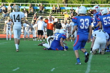 Enlarge photo 281