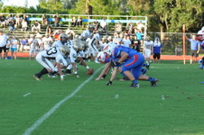 Enlarge photo 283