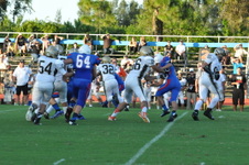 Enlarge photo 285