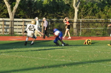 Enlarge photo 302