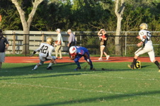 Enlarge photo 303