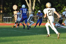 Enlarge photo 313