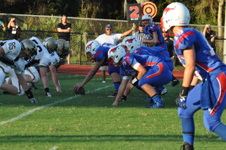 Enlarge photo 336