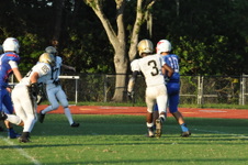 Enlarge photo 343