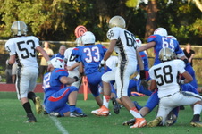 Enlarge photo 382