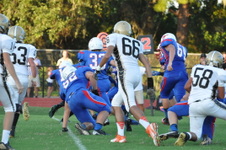 Enlarge photo 383