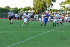 Enlarge photo 392