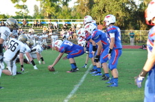 Enlarge photo 397