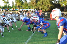 Enlarge photo 398