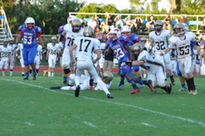 Enlarge photo 452