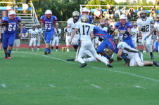 Enlarge photo 453
