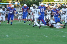Enlarge photo 454