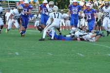 Enlarge photo 455