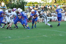 Enlarge photo 459