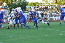 Enlarge photo 460
