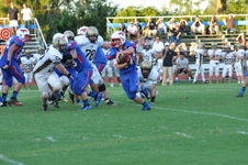 Enlarge photo 461