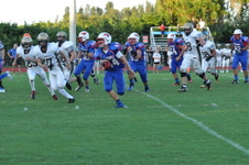 Enlarge photo 469