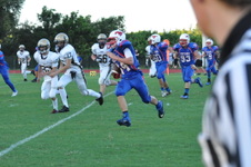 Enlarge photo 475