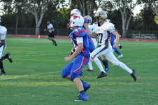 Enlarge photo 474