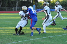 Enlarge photo 477