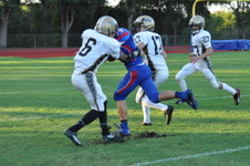 Enlarge photo 478