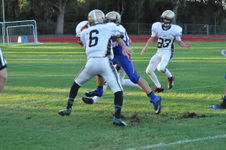 Enlarge photo 479