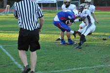 Enlarge photo 481