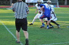Enlarge photo 482