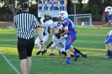 Enlarge photo 483