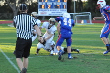 Enlarge photo 484