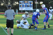 Enlarge photo 486