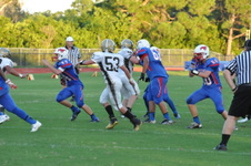 Enlarge photo 511