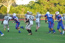 Enlarge photo 512