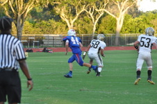 Enlarge photo 513