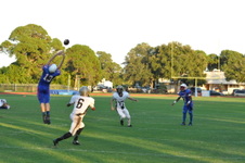Enlarge photo 528