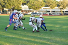 Enlarge photo 534