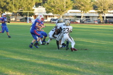 Enlarge photo 535