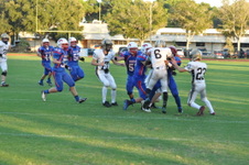 Enlarge photo 538