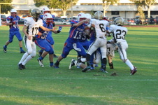 Enlarge photo 539