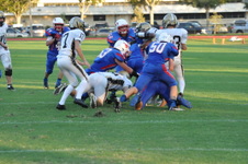 Enlarge photo 543