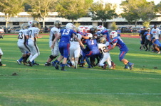 Enlarge photo 545