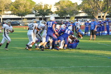 Enlarge photo 549