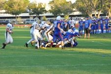 Enlarge photo 551