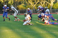 Enlarge photo 558