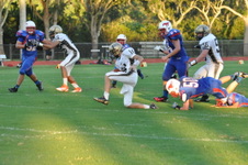 Enlarge photo 559