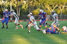 Enlarge photo 560
