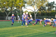 Enlarge photo 564