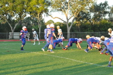 Enlarge photo 565
